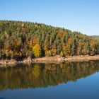 Ufer am Stausee