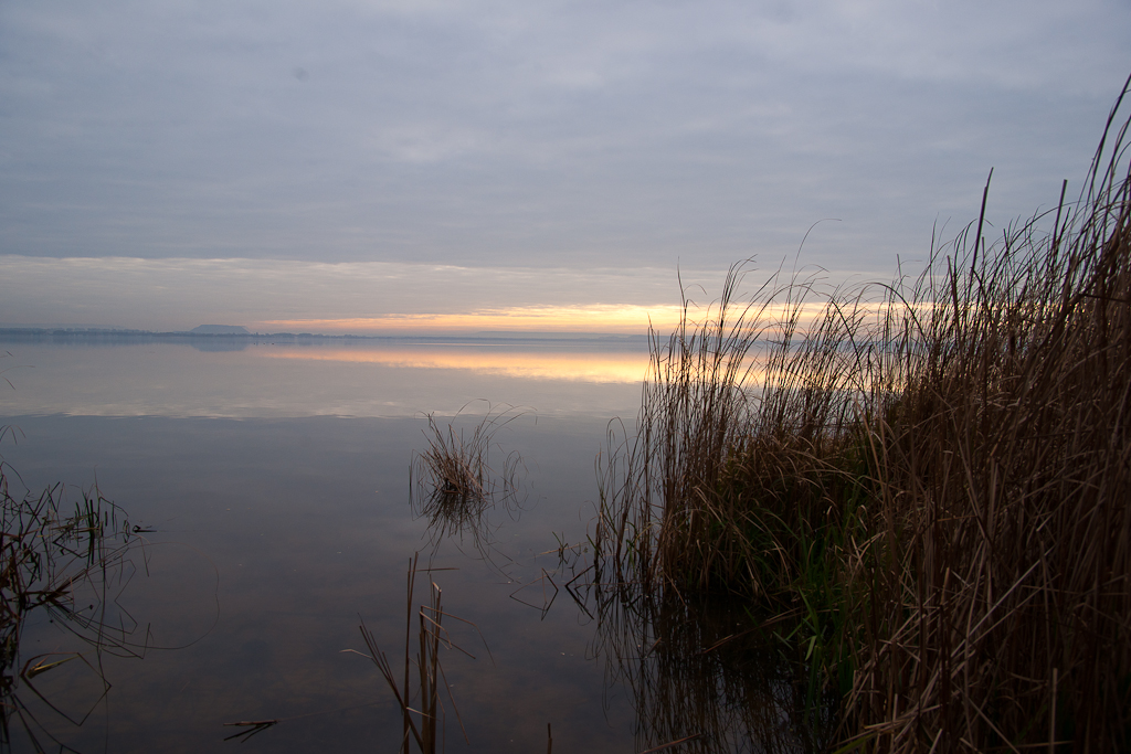 Ufer am Steinhudermeer