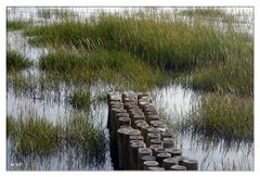 Ufer am Wattenmeer