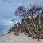 Ufer am Weststrand