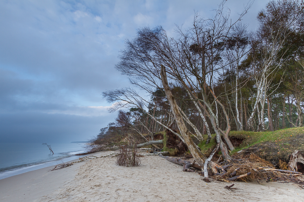 Ufer am Weststrand