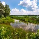 Ufer an der Schortandy. Kasachstan.