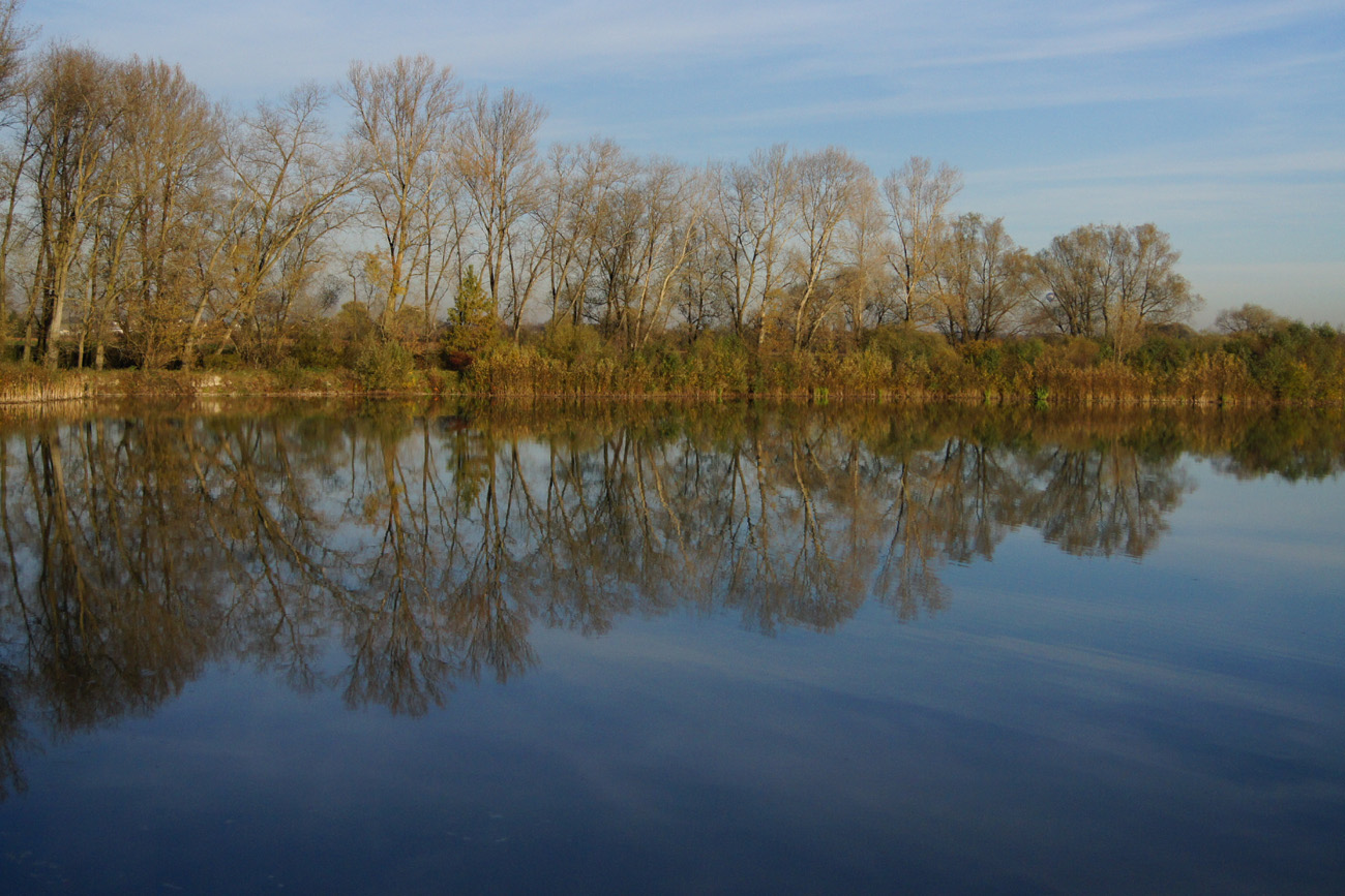 Ufer an Donau.