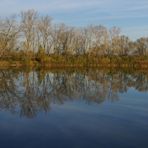 Ufer an Donau.