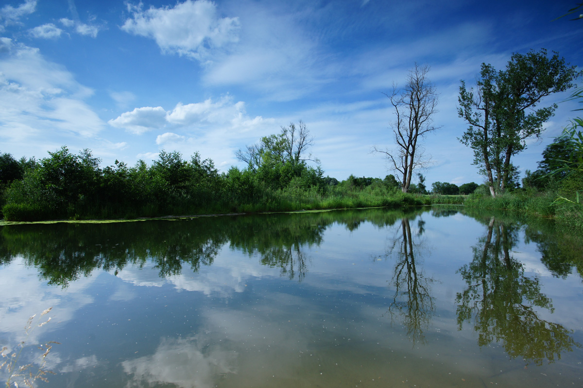 Ufer an Stausee.