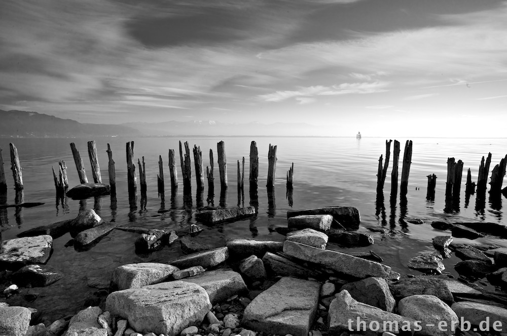 Ufer Bodensee - SW Rotfilter