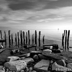 Ufer Bodensee - SW Rotfilter