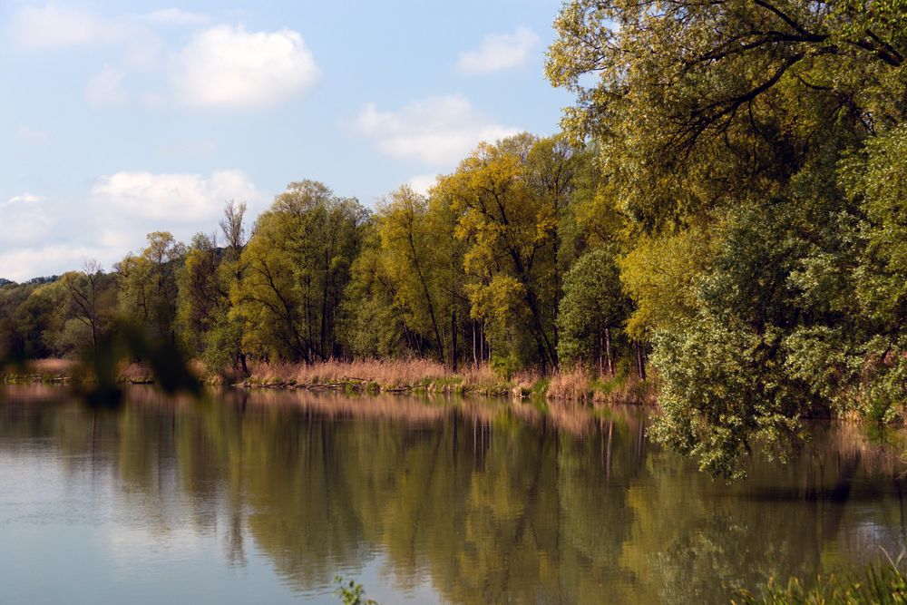 Ufer des Inn zw. Wasserburg.u. Attel ......