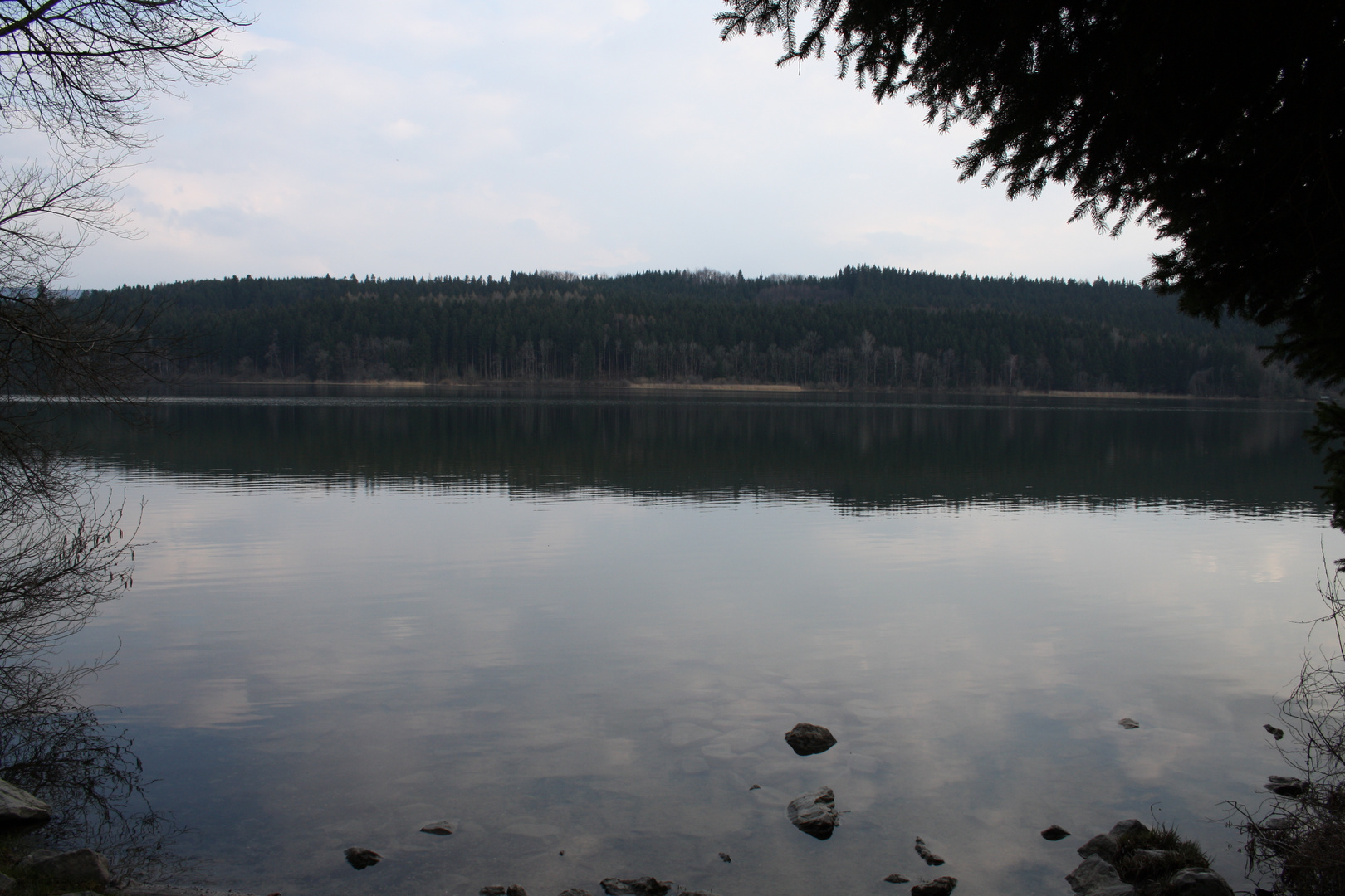 Ufer des Niedersonthofener Sees 2