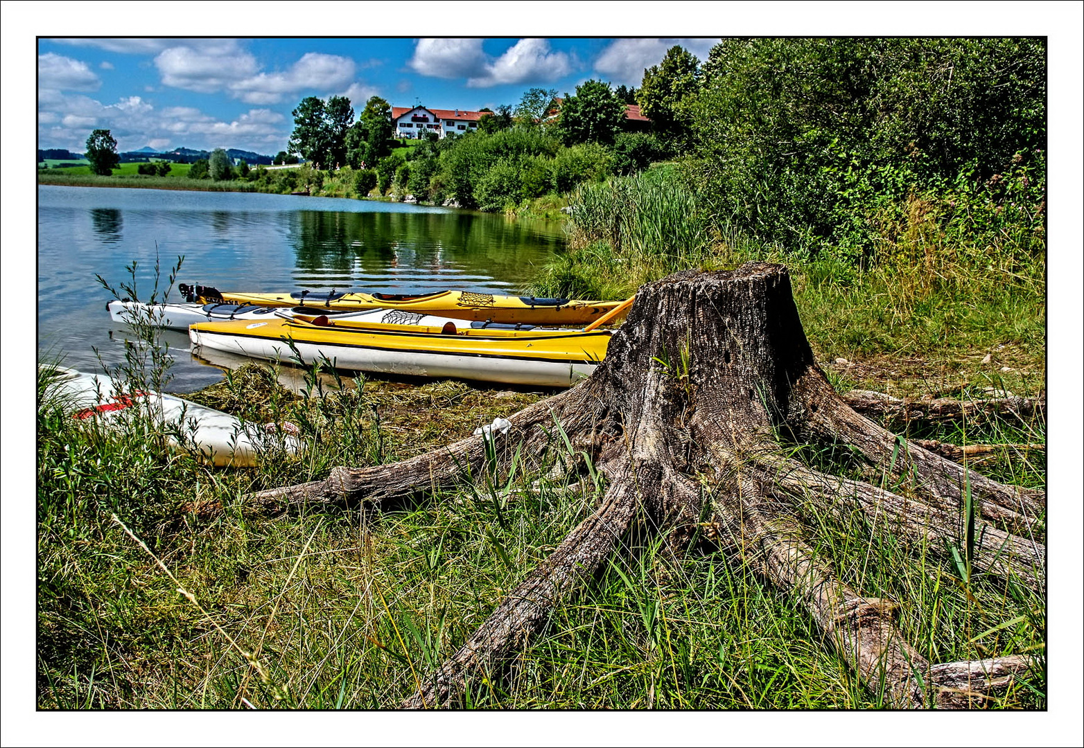 Ufer des Plansees