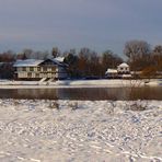 Ufer des Rotehornpark an der Alten Elbe