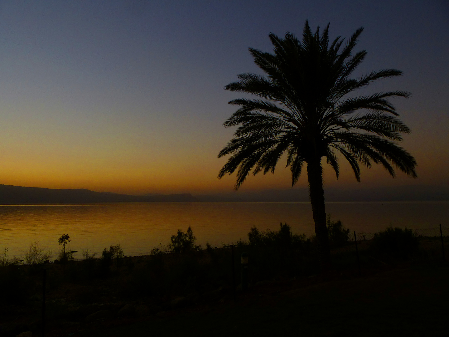 Ufer des Sees Genezareth, Galiläa, nordöstliches Israel