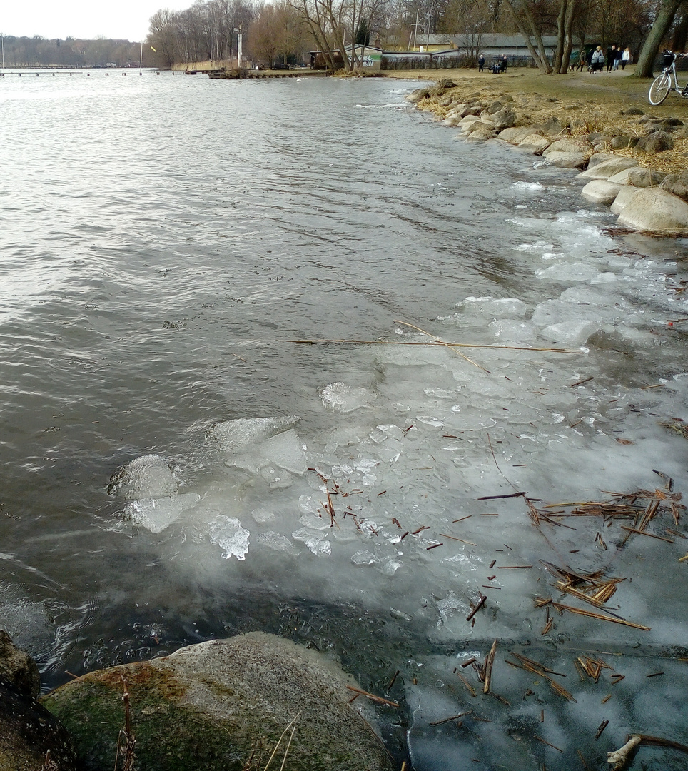 Ufer des Tollensesees 