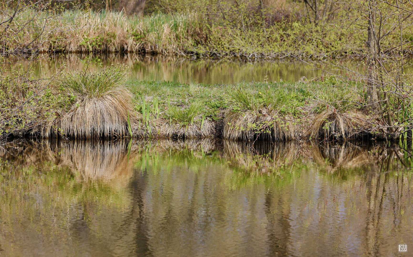 Ufer gespiegelt