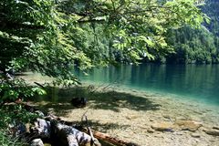 Ufer I - Königssee