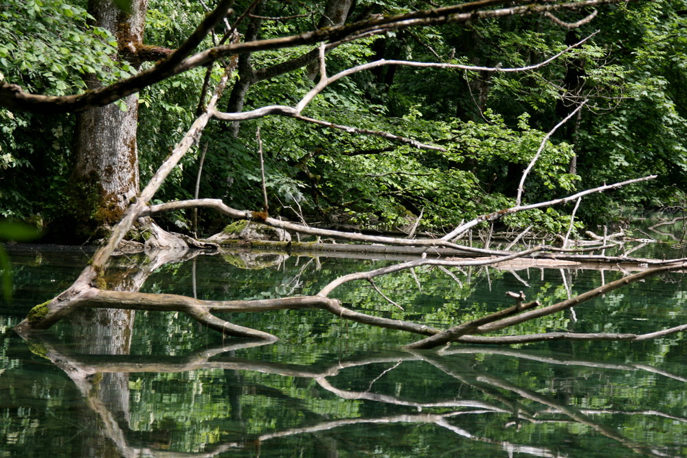 Ufer II - Königssee