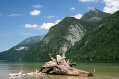 Ufer III - Königssee