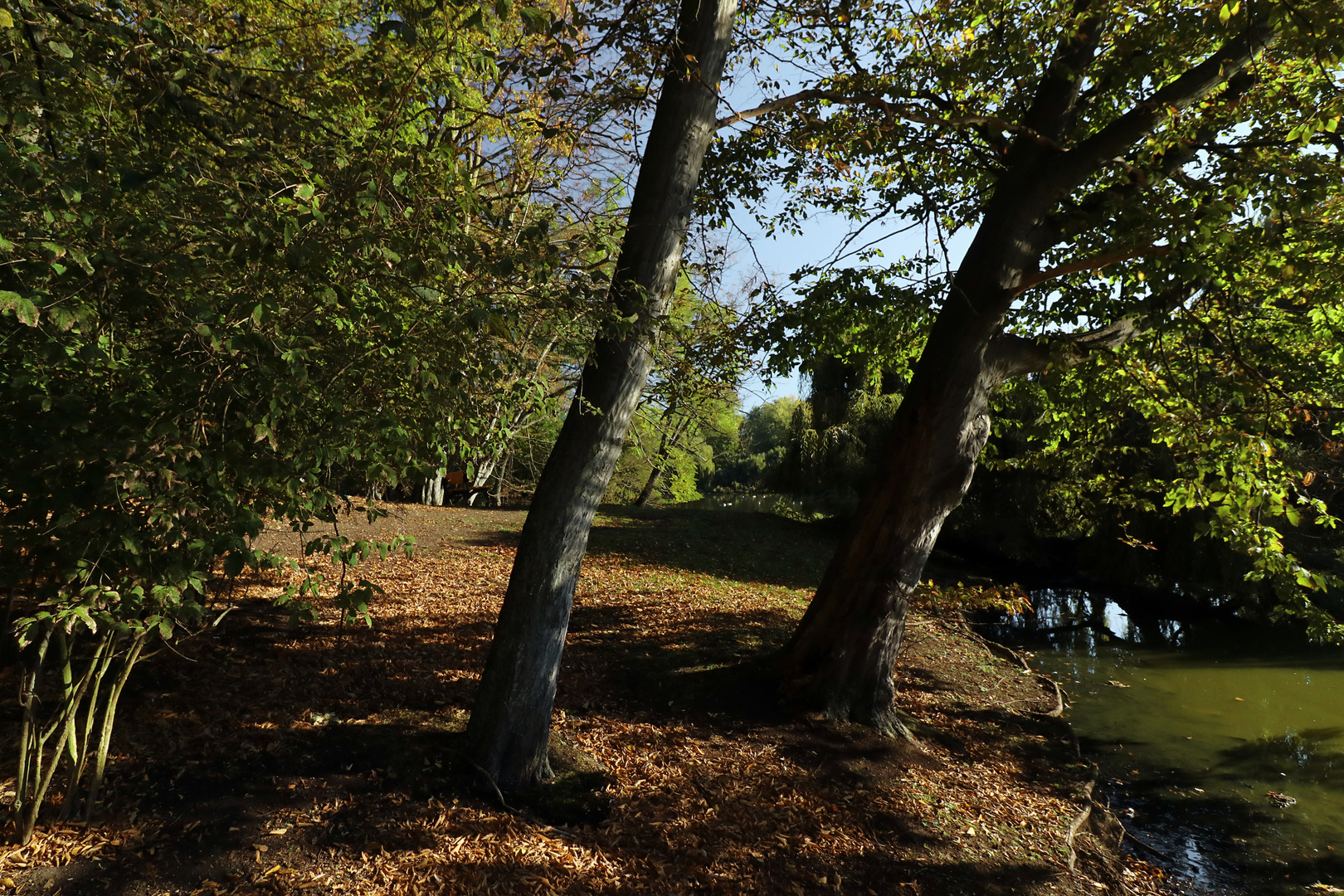 Ufer im Herbstlicht