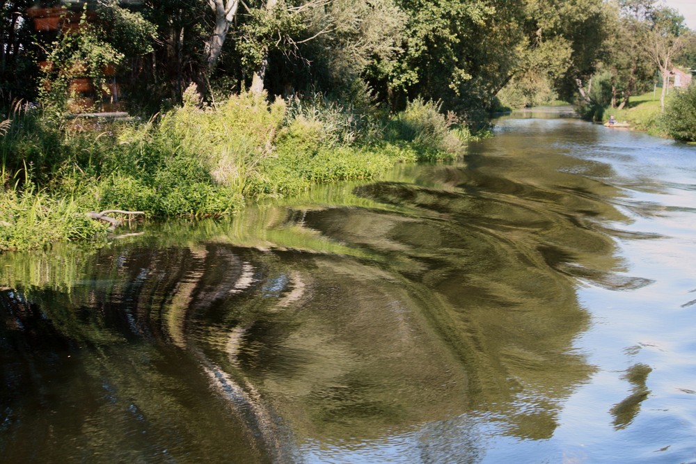 Ufer in Bewegung