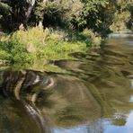 Ufer in Bewegung