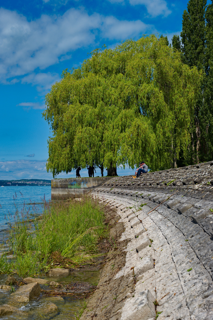 Ufer vom Meersburg