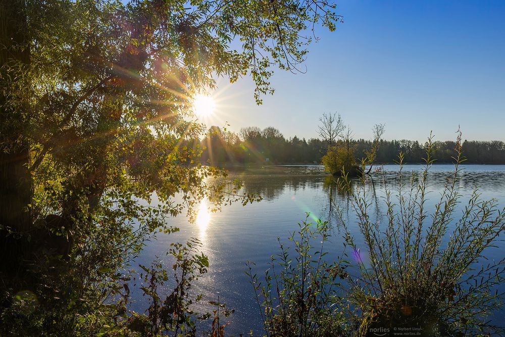 Uferblick mit Sonne