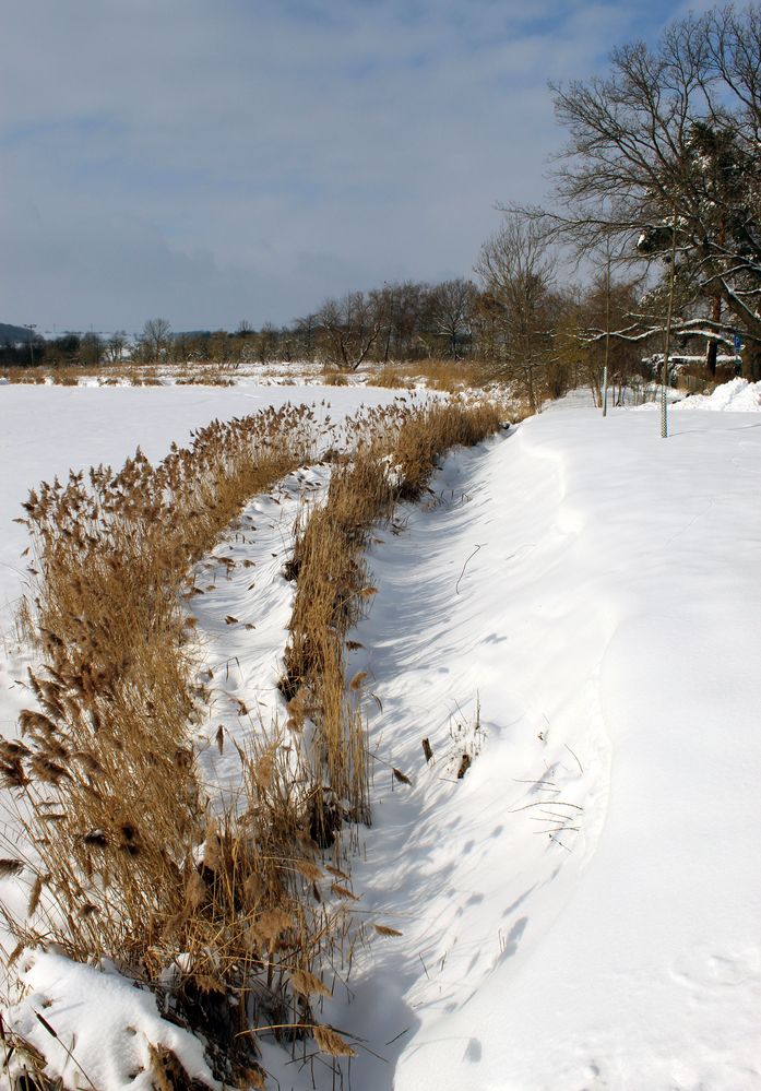 Uferböschung am See