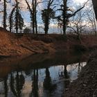 Uferböschung im Abendlicht