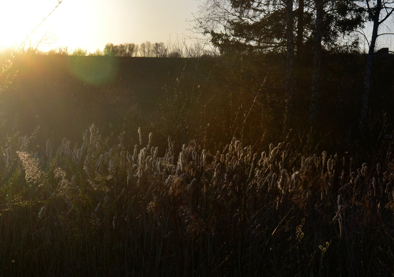 Uferlandschaft