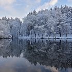  Uferlandschaft am Heilenbecker See...