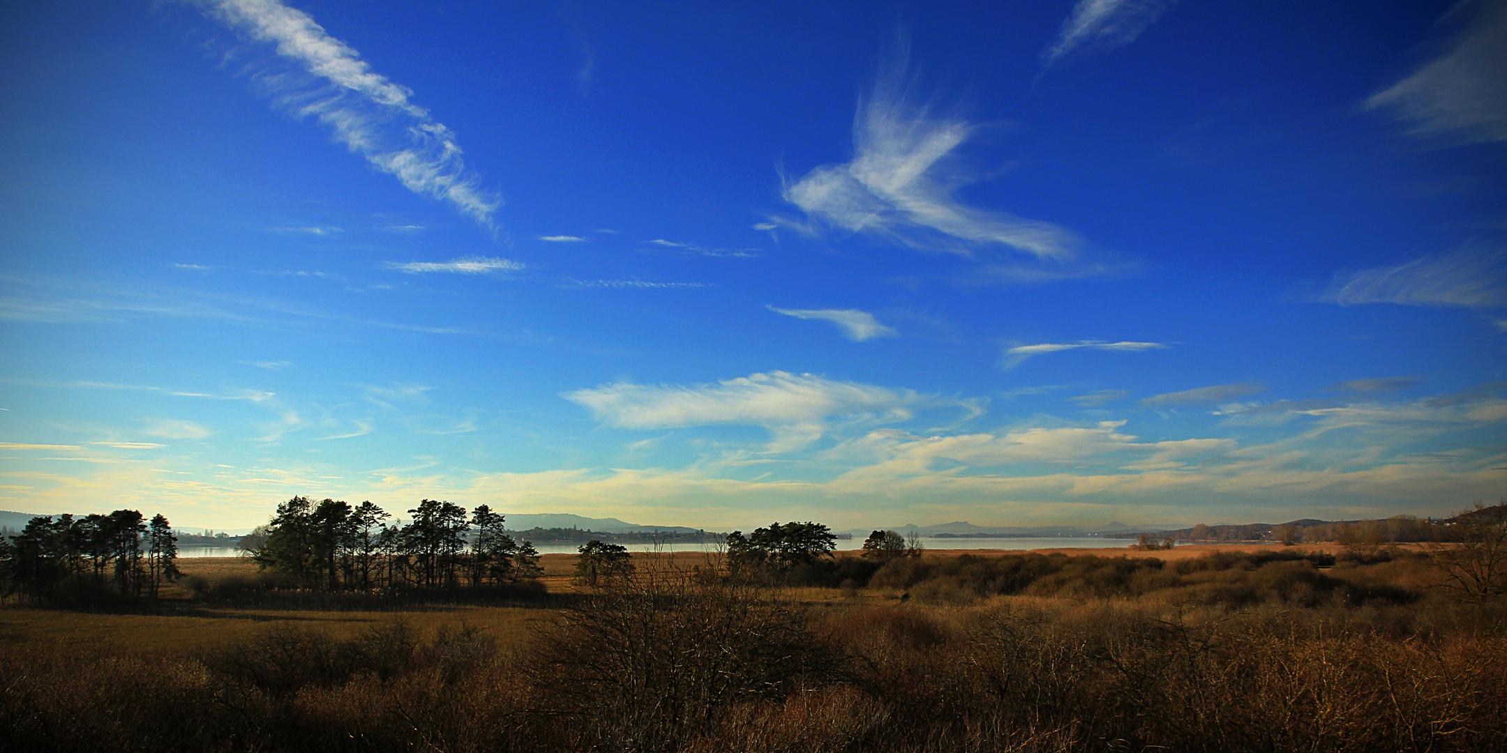 Uferlandschaft