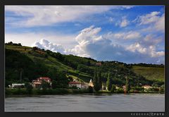 Uferlandschaft