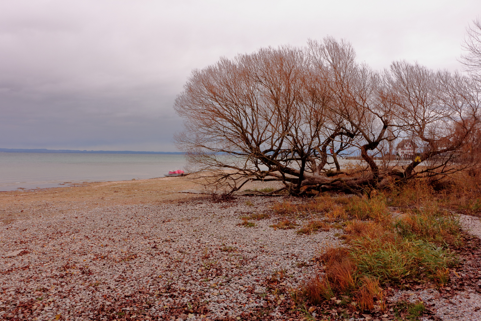 Uferlandschaft Bodensee