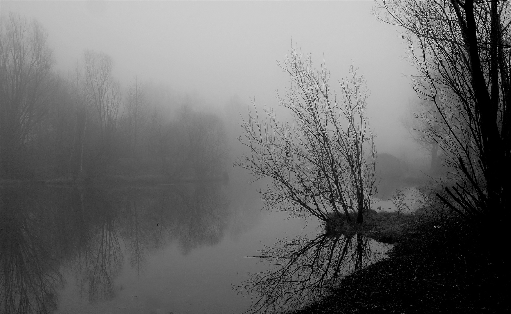 Uferlandschaft im Nebel