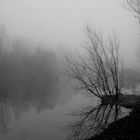 Uferlandschaft im Nebel