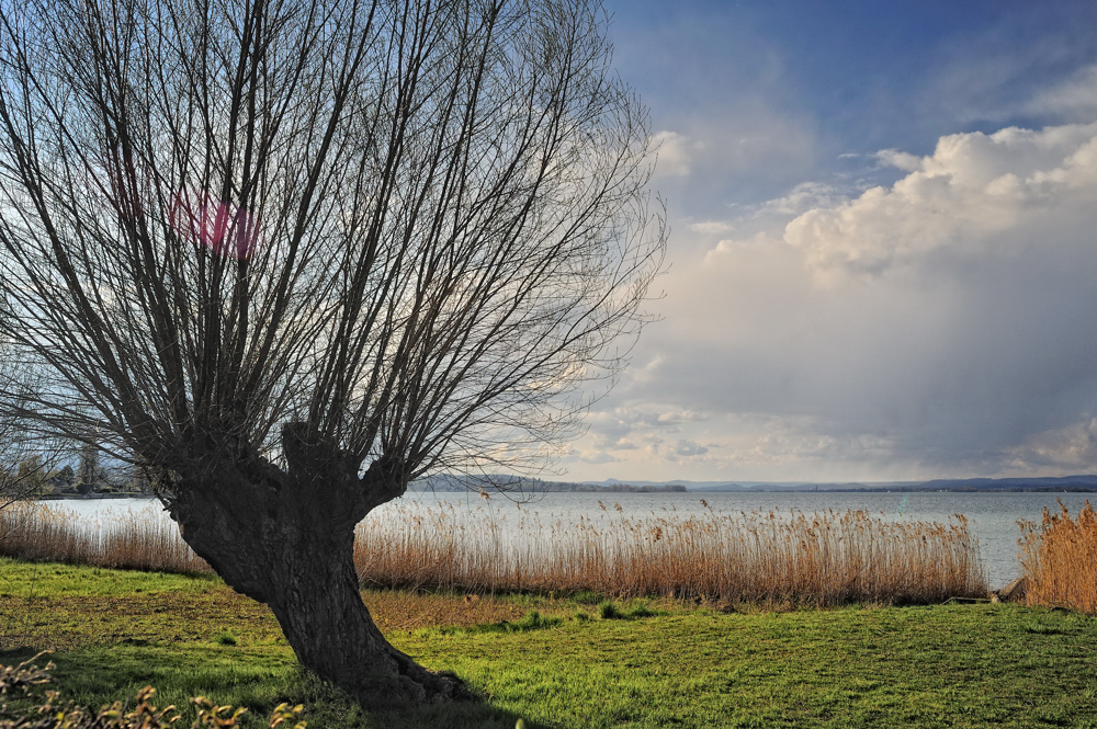 Uferlandschaft im Vorfrühling