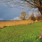 Uferlandschaft im Vorfrühling, die andere Seite