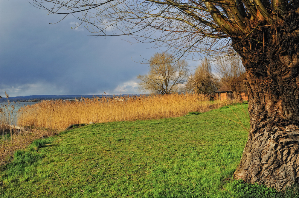 Uferlandschaft im Vorfrühling, die andere Seite