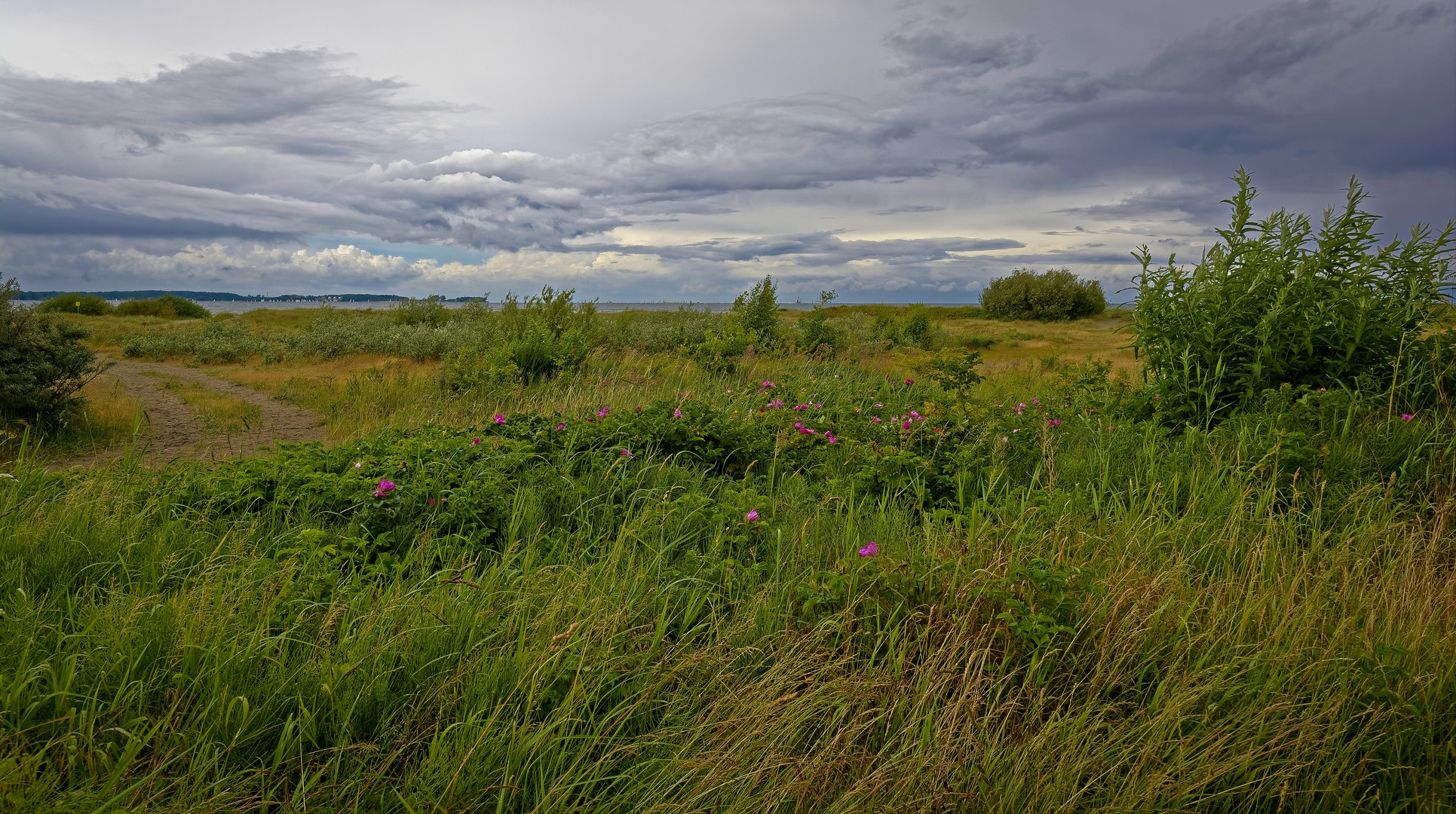 Uferlandschaft in Laboe 