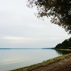 Uferlandschaften am Ammersee in Bayern