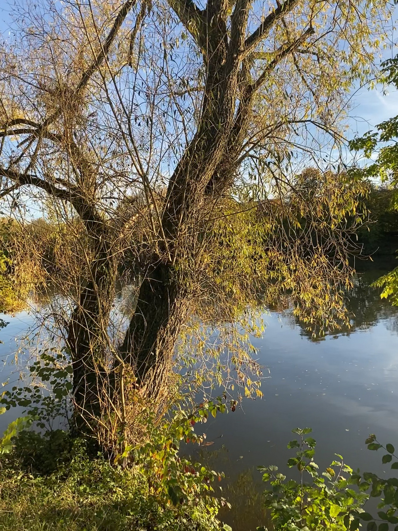 Uferlandschaften im Herbst 