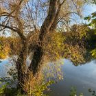 Uferlandschaften im Herbst 