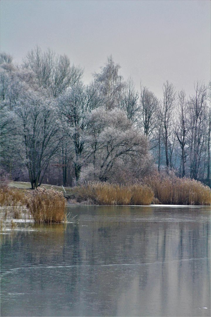 Uferlandschaften im Winter