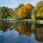 Uferpartie am Kleinen Wannsee