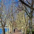 Uferpromenade