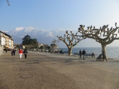 Uferpromenade Ascona ...