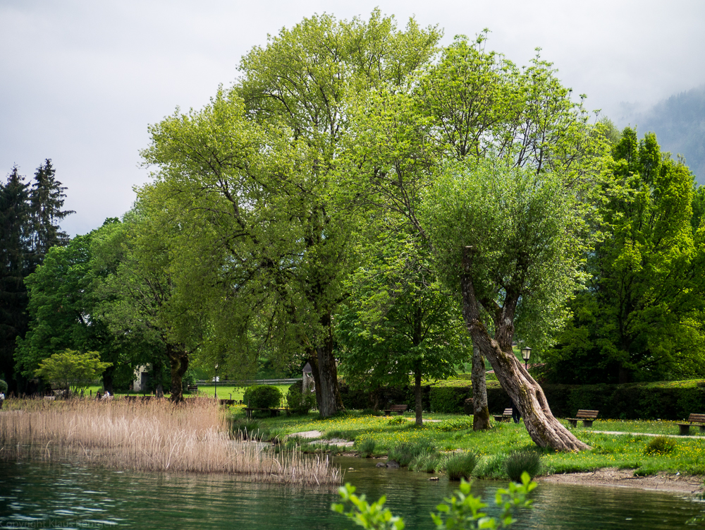 Uferpromenade Bad Wiessee