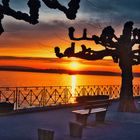 Uferpromenade Bodensee_1