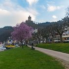 Uferpromenade Cochem