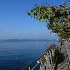 Uferpromenade in Meersburg